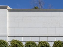Venato Light Thin Veneer